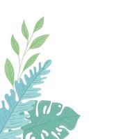 tropical branches with leaves pastel color on white background vector