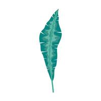 leaf tropical exotic, nature concept vector