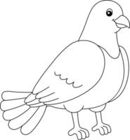 Pigeon Coloring Page Isolated for Kids vector