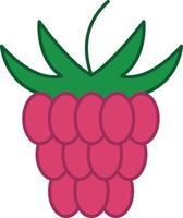 Raspberry Filled Outline Icon Fruit Vector