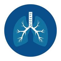 lungs, internal organ of the human, anatomy medicine concept vector