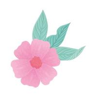 flower pink color pastel with leaves , nature concept vector