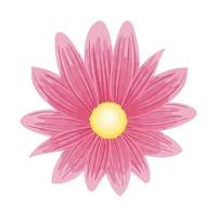 flower pink color, spring concept on white background vector