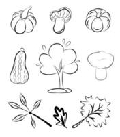 Autumn icon set season graphic line art tree pumpkin leaf mushroom collection black outline drawing fall concept nature plant vegetable garden contour line vector