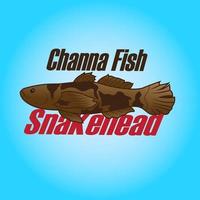 snakehead channa fish illustration vector for element promotion