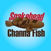 snakehead channa fish illustration vector for element promotion