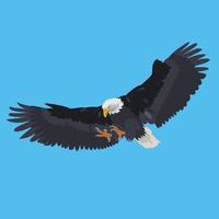 eagle usa flying illustration vector