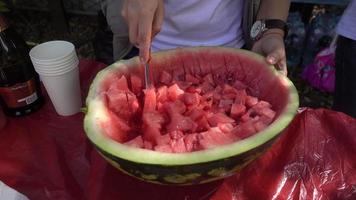 Cut Watermelon Into Pieces