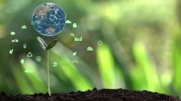 The earth with environment ecology sign hologram on natural background. video