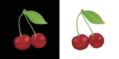 Cherry vector artwork, best for decoration and kids story books