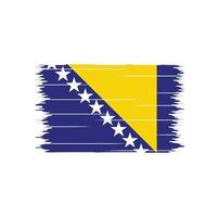 Bosnia Herzegovina Flag Brush vector