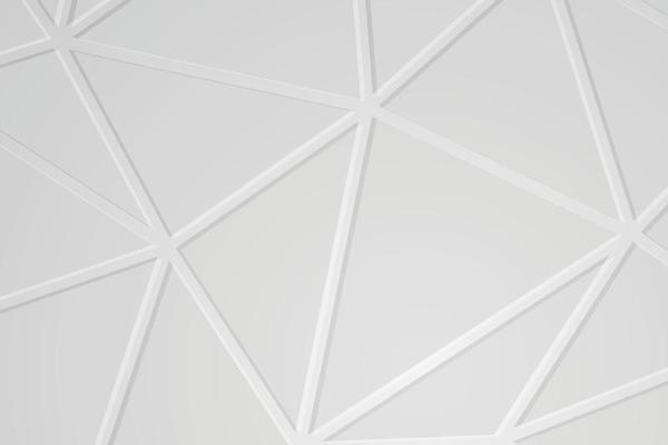 banner Abstract geometric white and gray color background vector illustration.