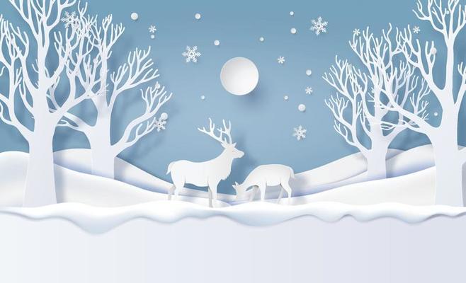 Deer in forest with snow.