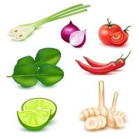 Tom yum ingredient spices. Traditional thai food. On white background . 3d Vector EPS10 illustration