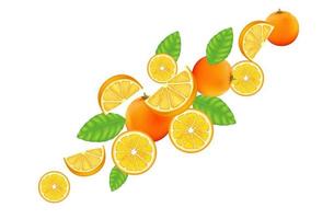 Fresh orange fruits flying and leaves with oranges of pieces element in the middle on white background. Realistic 3D vector illustration.