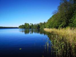 Summer Bank of a river or lake. the surface of the water mirror. Trees over water, villas. Beautiful light of the sun. photo