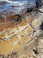 The sandy shore of the lake with dry branches.Washed-up beach in spring.The shore is flooded with water. photo