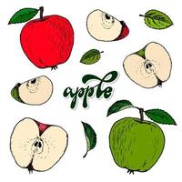 conjunto de manzanas dibujadas a mano y hojas aisladas en fondo blanco para carteles, logotipos, etiquetas, pancartas, pegatinas, diseño de embalaje de productos, etc. eps 10 vector