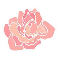 ilustración de flor rosa vector