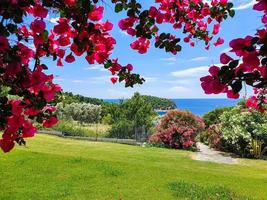 idílica vista al mar de la costa en la isla de skopelos, hermoso paisaje de la isla en el mar egio, grecia. foto