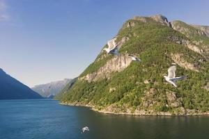 Cruise in Geiranger fjord in Norway photo