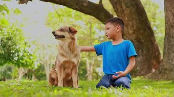 barn som leker med hund i parken video