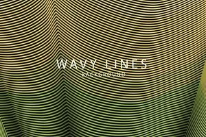 banner Wave Lines Pattern an Abstract Stripe Background, Vector