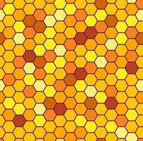 Honeycomb seamless pattern background vector