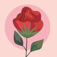 beauty red rose flower vector