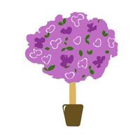 Cherry tree in a pot for planting. vector