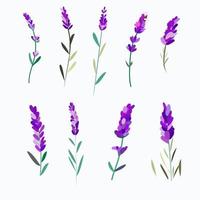 Set of elements of flowers and leaves of lavender for design. vector