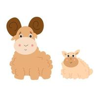 Lamb and sheep on a white background. vector