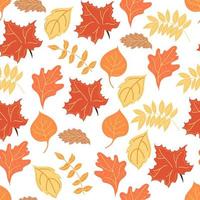 Seamless pattern with autumn leaves of maple and oak and mountain ash. vector