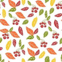 Seamless pattern with autumn leaves and berries. vector