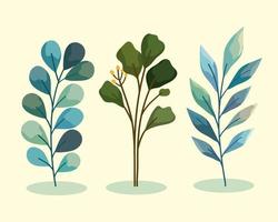 three watercolor nature branches vector