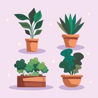 four houseplants in pots vector