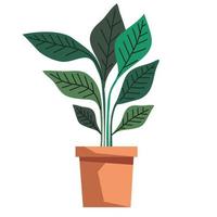 houseplant in pot vector