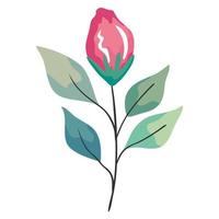 rose flower and leafs vector