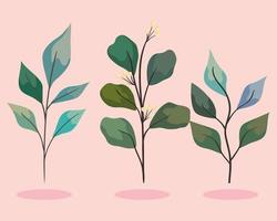 three branchs with leafs vector