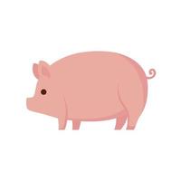 farm pig animal vector