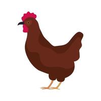 hen farm animal vector