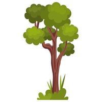 árbol naturaleza planta vector