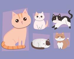 cute cats animals vector