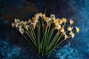 Bouquet of fresh spring daffodil flowers photo