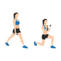 Woman doing Split squat curl exercise. vector