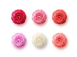 Camellia flowers vector set. Camellia and rose flower collection for spring with various colors