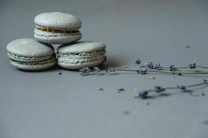 macaron gris con diferentes rellenos de chocolate, caramelo sobre un fondo gris con ramitas de lavanda. copiar, espacio vacío para texto foto