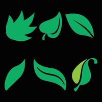 Leaf Vector Collection