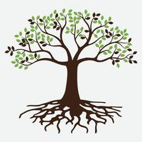 Ilustración de vector de árbol