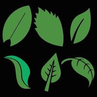 Leaf Vector Collection